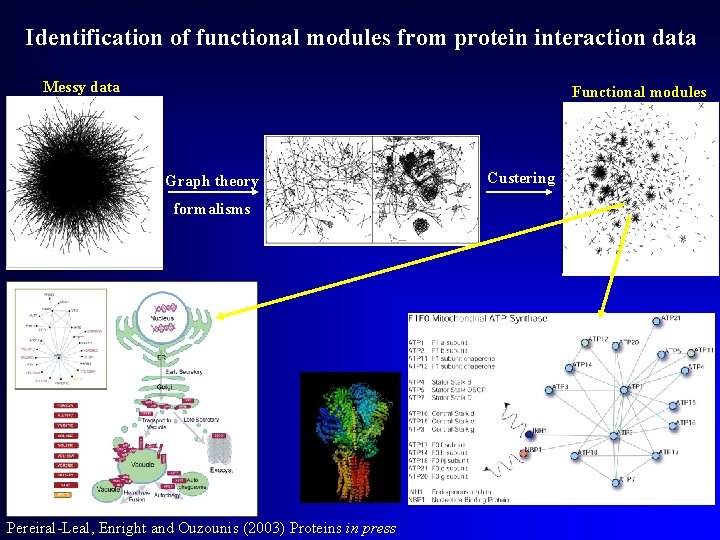 Identification of functional modules from protein interaction data Messy data Functional modules Graph theory