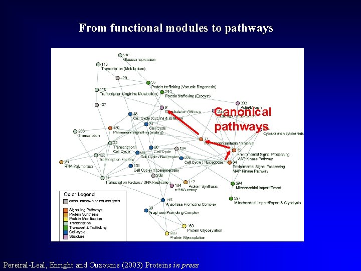 From functional modules to pathways Canonical pathways Pereiral-Leal, Enright and Ouzounis (2003) Proteins in