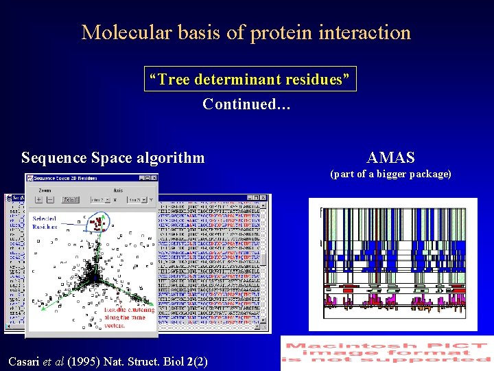 Molecular basis of protein interaction “Tree determinant residues” Continued… Sequence Space algorithm AMAS (part