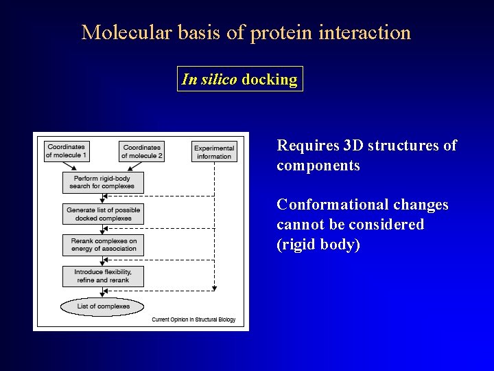 Molecular basis of protein interaction In silico docking Requires 3 D structures of components