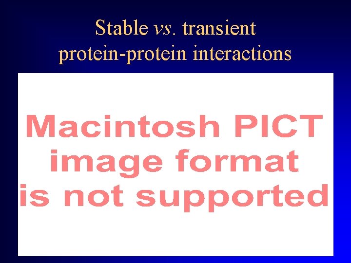 Stable vs. transient protein-protein interactions 
