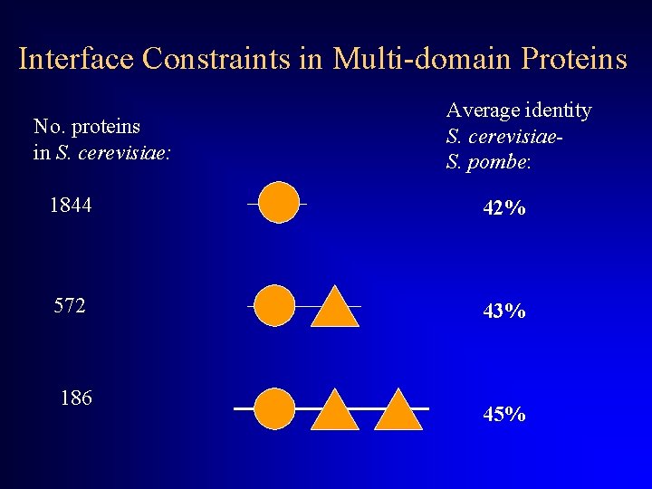 Interface Constraints in Multi-domain Proteins No. proteins in S. cerevisiae: Average identity S. cerevisiae.