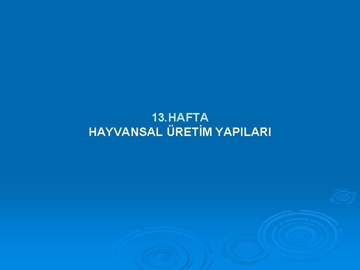 13. HAFTA HAYVANSAL ÜRETİM YAPILARI 