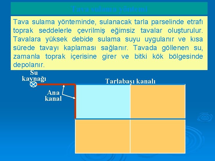 Tava sulama yönteminde, sulanacak tarla parselinde etrafı toprak seddelerle çevrilmiş eğimsiz tavalar oluşturulur. Tavalara