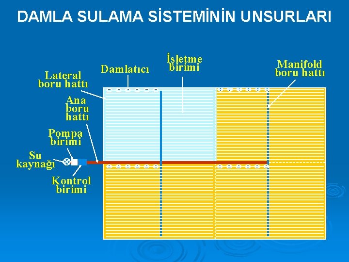 DAMLA SULAMA SİSTEMİNİN UNSURLARI Lateral boru hattı Ana boru hattı Pompa birimi Su kaynağı