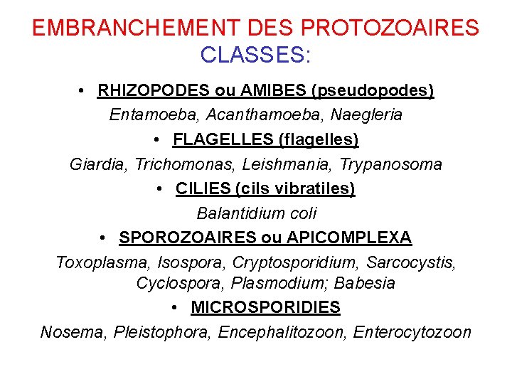 EMBRANCHEMENT DES PROTOZOAIRES CLASSES: • RHIZOPODES ou AMIBES (pseudopodes) Entamoeba, Acanthamoeba, Naegleria • FLAGELLES