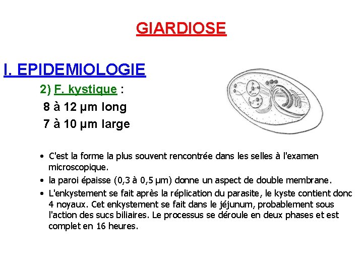 GIARDIOSE I. EPIDEMIOLOGIE 2) F. kystique : 8 à 12 µm long 7 à