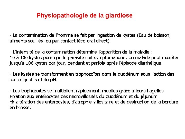 Physiopathologie de la giardiose - La contamination de l'homme se fait par ingestion de
