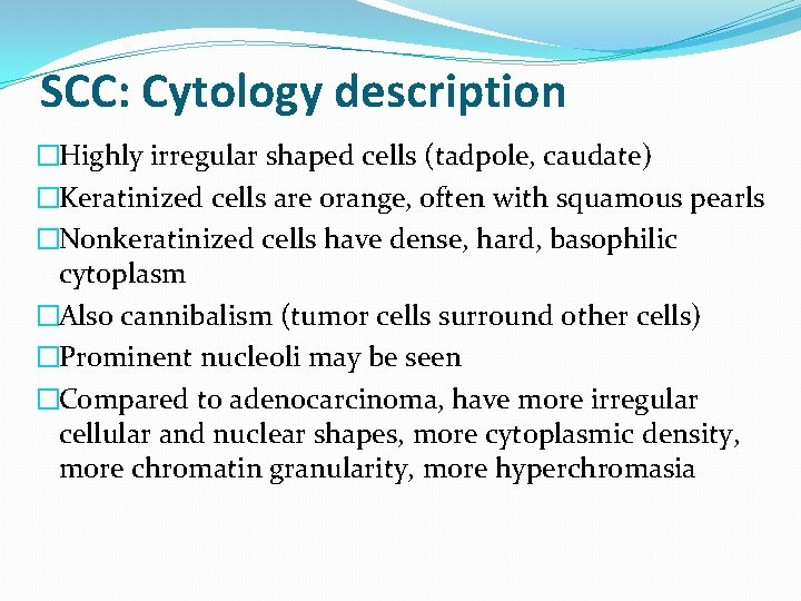 SCC: Cytology description �Highly irregular shaped cells (tadpole, caudate) �Keratinized cells are orange, often