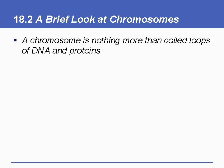 18. 2 A Brief Look at Chromosomes § A chromosome is nothing more than
