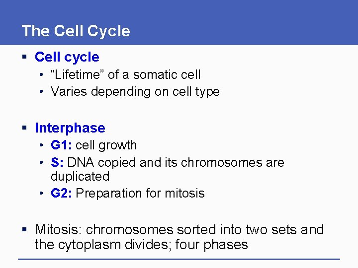 The Cell Cycle § Cell cycle • “Lifetime” of a somatic cell • Varies