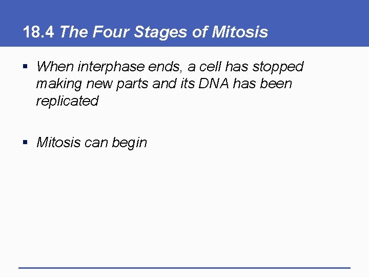 18. 4 The Four Stages of Mitosis § When interphase ends, a cell has