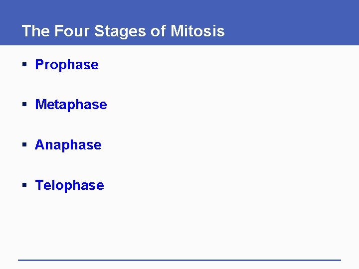 The Four Stages of Mitosis § Prophase § Metaphase § Anaphase § Telophase 