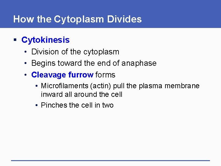 How the Cytoplasm Divides § Cytokinesis • Division of the cytoplasm • Begins toward