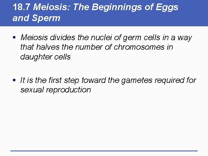 18. 7 Meiosis: The Beginnings of Eggs and Sperm § Meiosis divides the nuclei