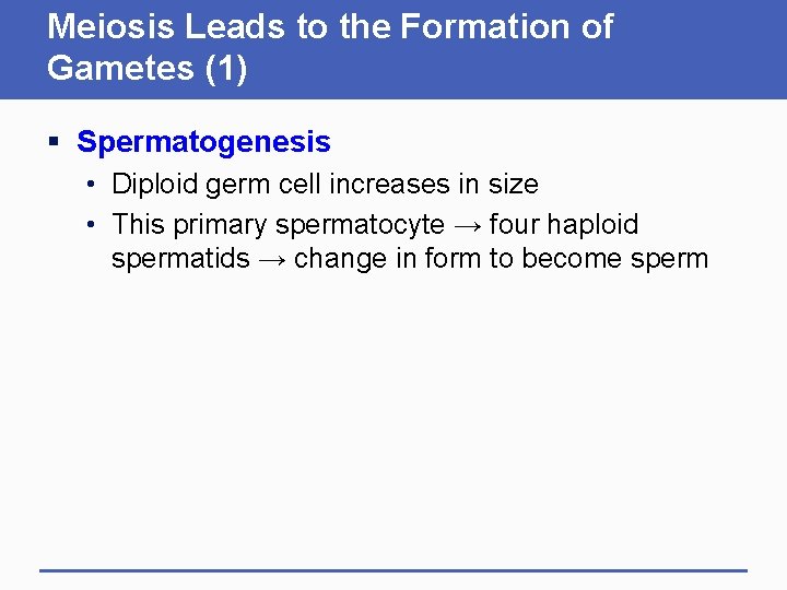 Meiosis Leads to the Formation of Gametes (1) § Spermatogenesis • Diploid germ cell