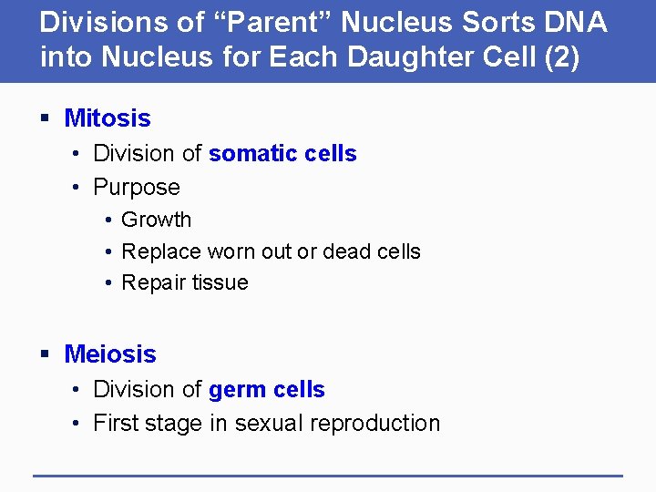 Divisions of “Parent” Nucleus Sorts DNA into Nucleus for Each Daughter Cell (2) §