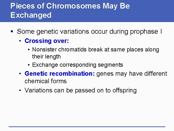 Pieces of Chromosomes May Be Exchanged § Some genetic variations occur during prophase I
