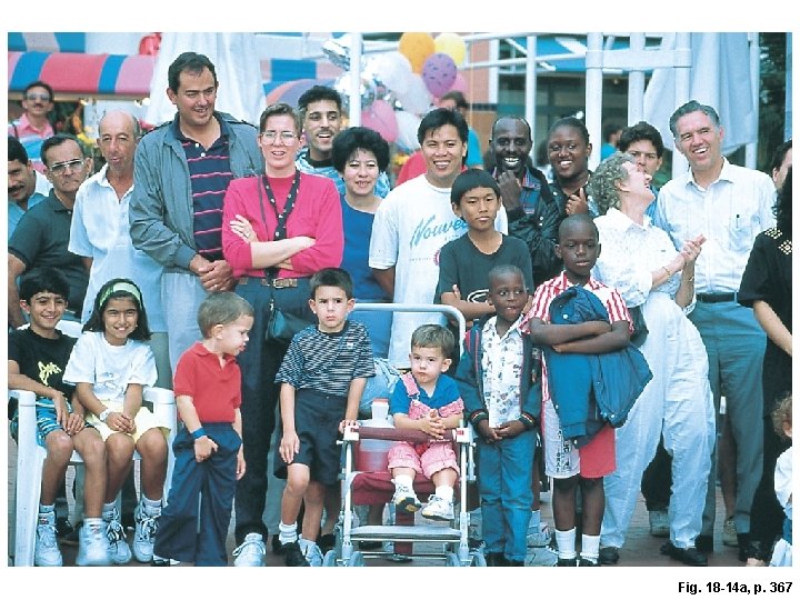 Fig. 18 -14 a, p. 367 