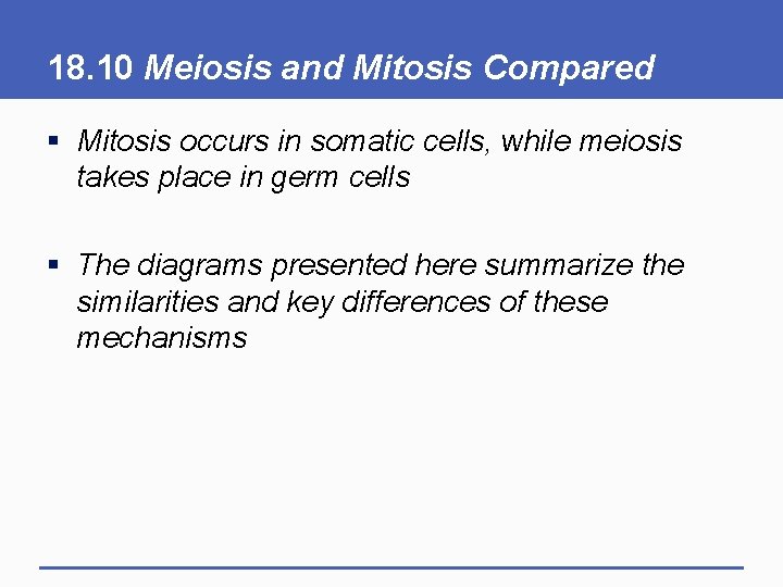18. 10 Meiosis and Mitosis Compared § Mitosis occurs in somatic cells, while meiosis