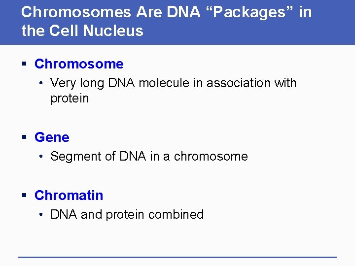 Chromosomes Are DNA “Packages” in the Cell Nucleus § Chromosome • Very long DNA