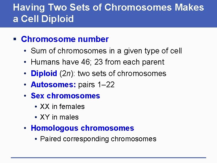 Having Two Sets of Chromosomes Makes a Cell Diploid § Chromosome number • •