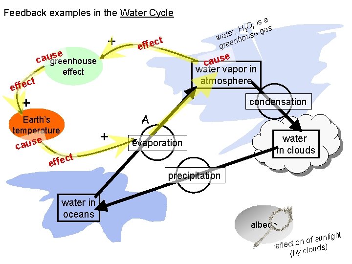 Feedback examples in the Water Cycle se caugreenhouse + ct effe e caus water