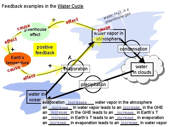 Feedback examples in the Water Cycle se caugreenhouse + ct effe e caus water