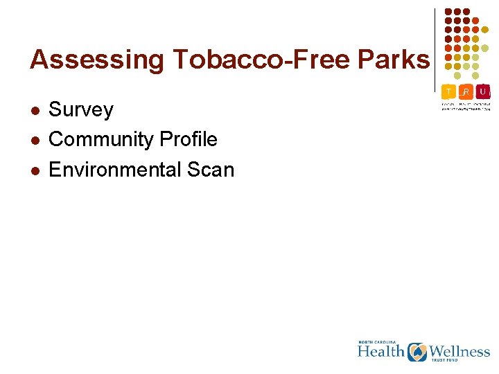 Assessing Tobacco-Free Parks l l l Survey Community Profile Environmental Scan 