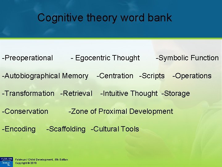 Cognitive theory word bank -Preoperational - Egocentric Thought -Autobiographical Memory -Transformation -Retrieval -Conservation -Encoding