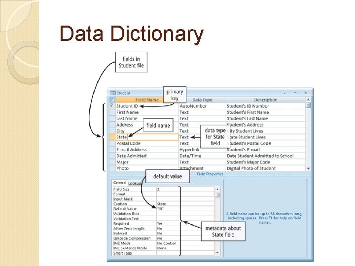 Data Dictionary 