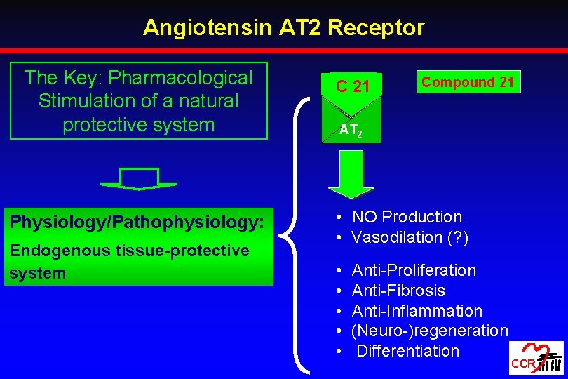 Angiotensin AT 2 Receptor The Key: Pharmacological Stimulation of a natural protective system Physiology/Pathophysiology: