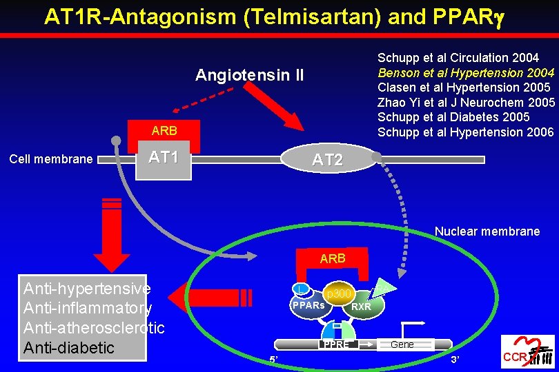 AT 1 R-Antagonism (Telmisartan) and PPAR Schupp et al Circulation 2004 Benson et al