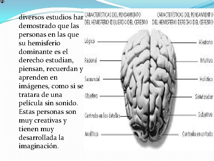 diversos estudios han demostrado que las personas en las que su hemisferio dominante es