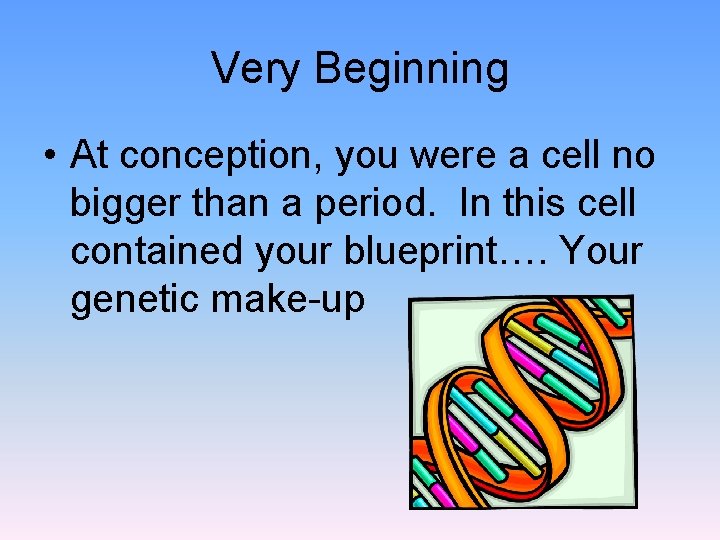 Very Beginning • At conception, you were a cell no bigger than a period.
