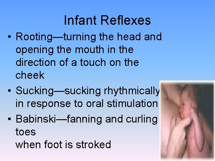 Infant Reflexes • Rooting—turning the head and opening the mouth in the direction of