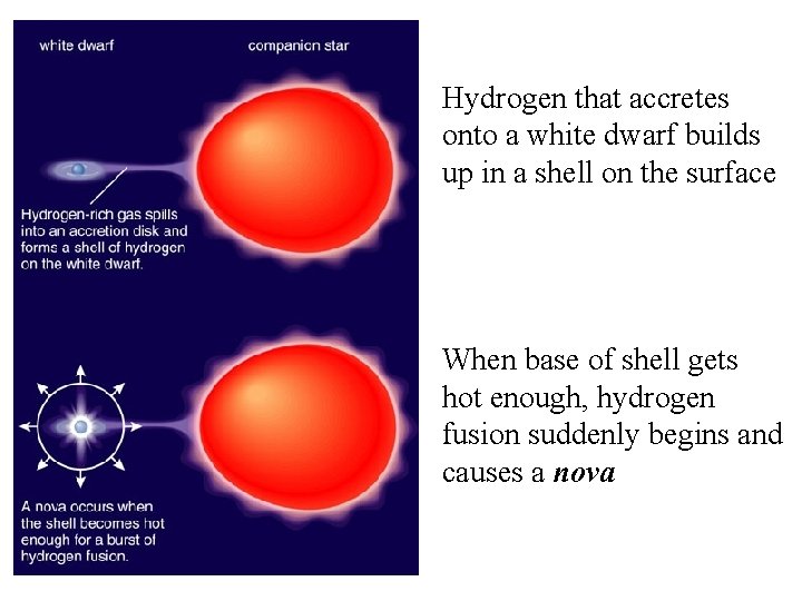 Hydrogen that accretes onto a white dwarf builds up in a shell on the