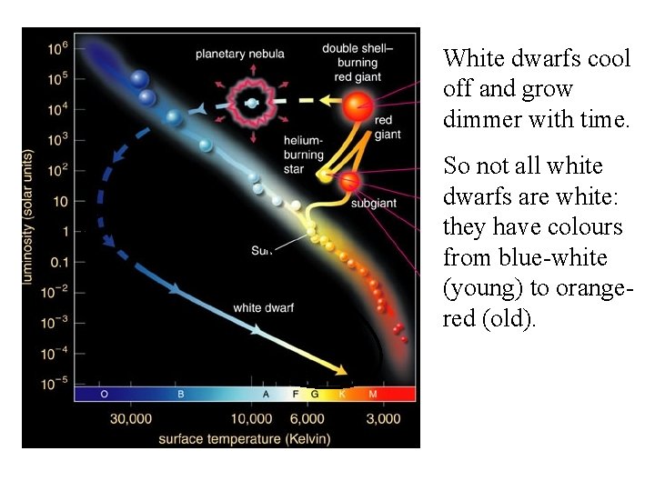 White dwarfs cool off and grow dimmer with time. So not all white dwarfs