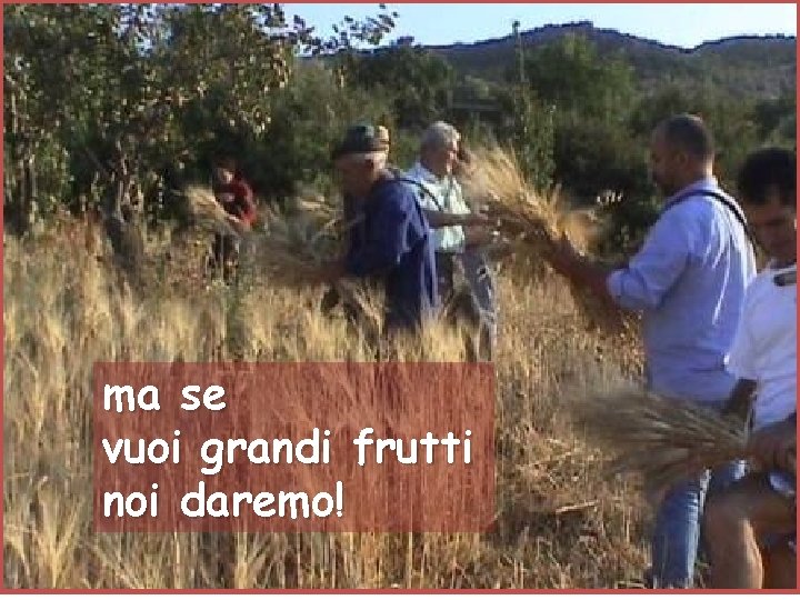 ma se vuoi grandi frutti noi daremo! 