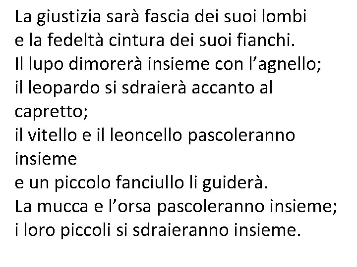 La giustizia sarà fascia dei suoi lombi e la fedeltà cintura dei suoi fianchi.