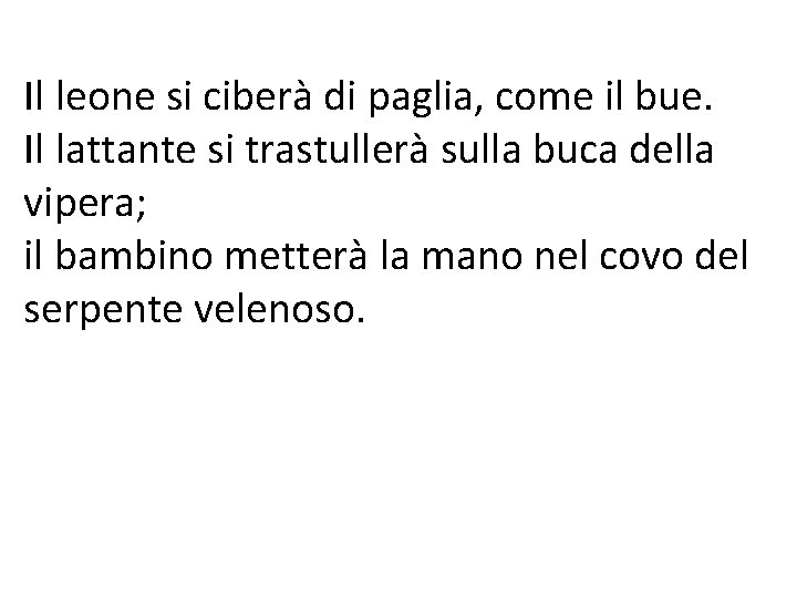 Il leone si ciberà di paglia, come il bue. Il lattante si trastullerà sulla