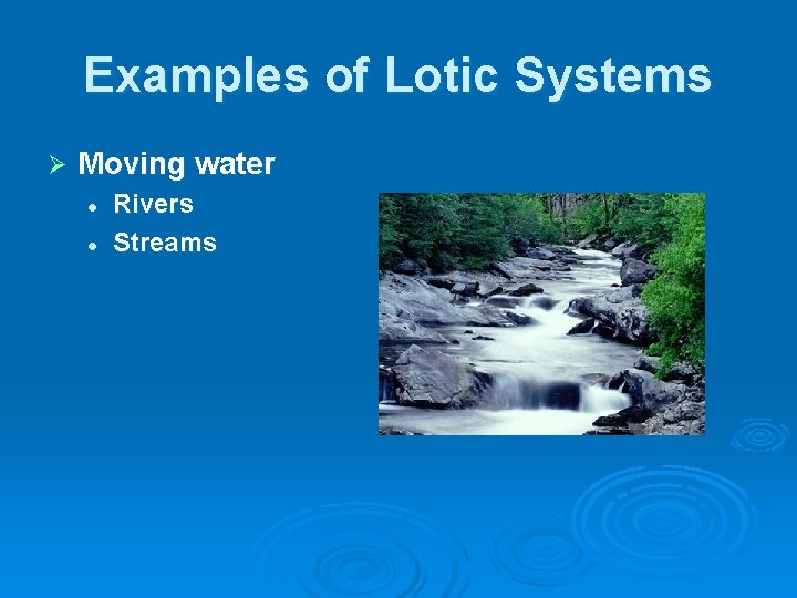 Examples of Lotic Systems Ø Moving water l l Rivers Streams 