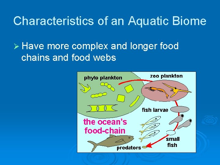 Characteristics of an Aquatic Biome Ø Have more complex and longer food chains and