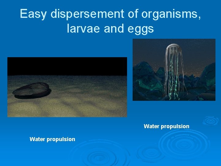 Easy dispersement of organisms, larvae and eggs Water propulsion 