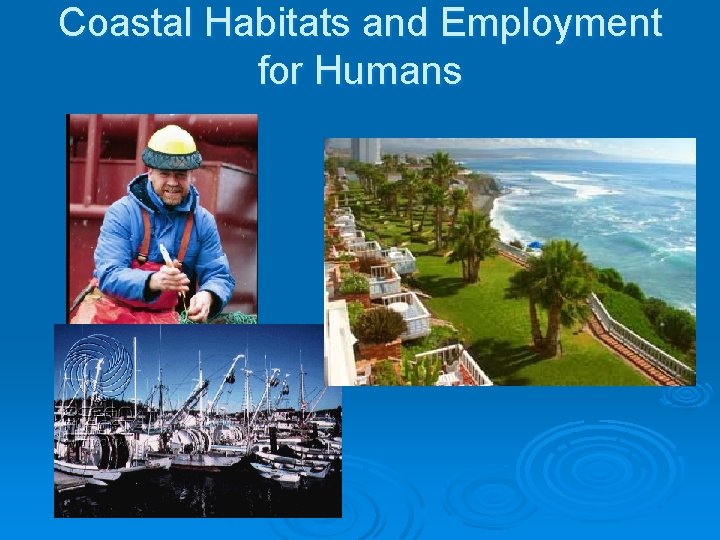 Coastal Habitats and Employment for Humans 