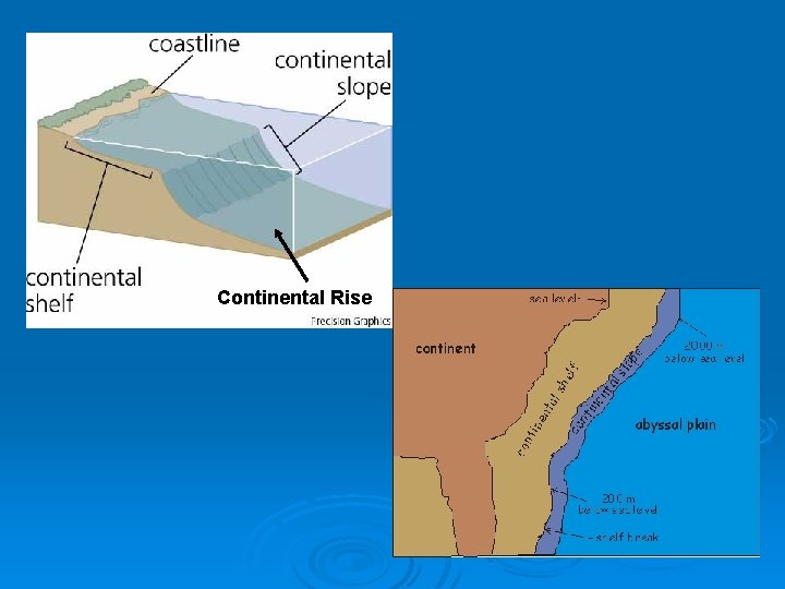 Continental Rise 