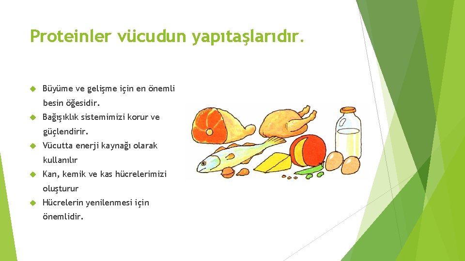 Proteinler vücudun yapıtaşlarıdır. Büyüme ve gelişme için en önemli besin öğesidir. Bağışıklık sistemimizi korur