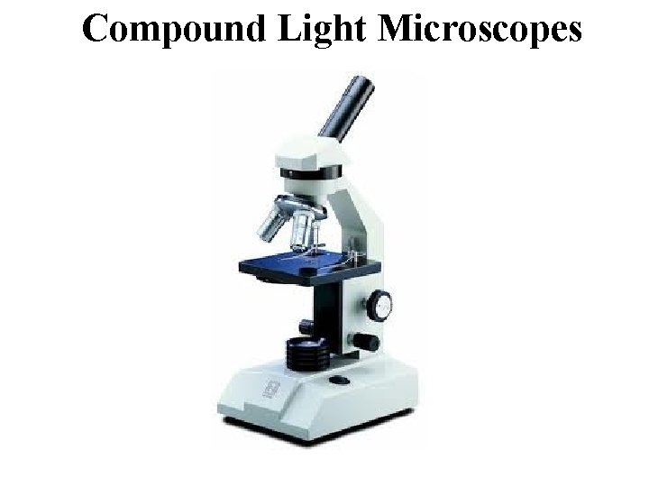 Compound Light Microscopes 