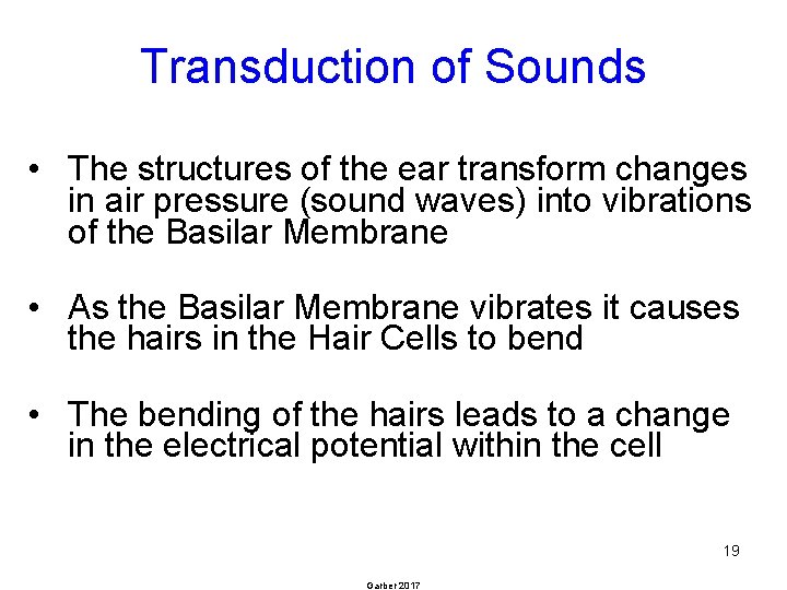 Transduction of Sounds • The structures of the ear transform changes in air pressure