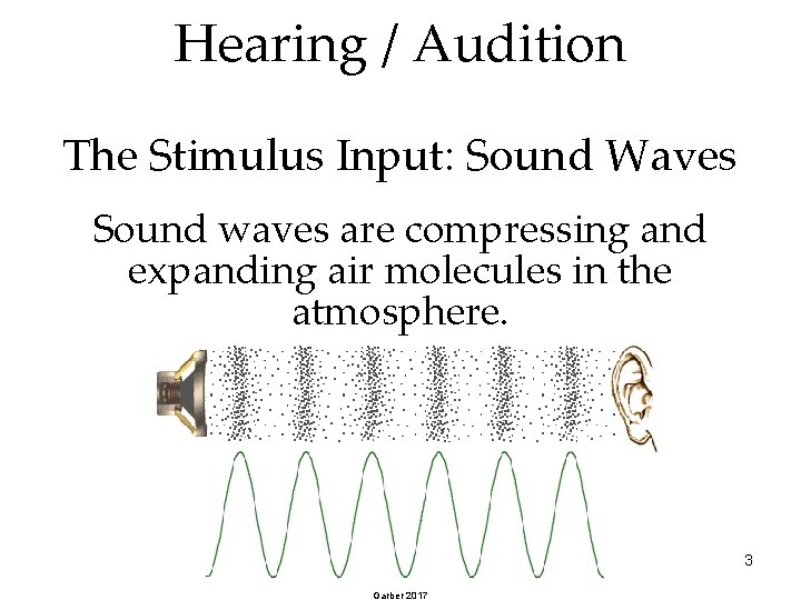 Hearing / Audition The Stimulus Input: Sound Waves Sound waves are compressing and expanding